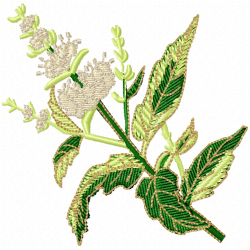 Plants Embroidery Design 7